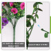 Fake Artificial Hanging Morning Glory Flowers for Outdoor Planters Porch Pation Decoration,2 Bundles UV Resistant Silk Faux Flowers with Realistic Eucalyptus Plants for Home Office Garden Decor