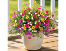 Faux Silk Daisy
